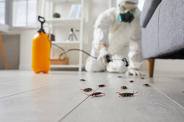 Commercial Kitchen Cockroach Control in Miami Gardens